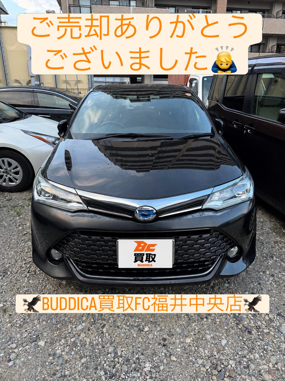 BUDDICA 買取FC 福井中央店の様子 4