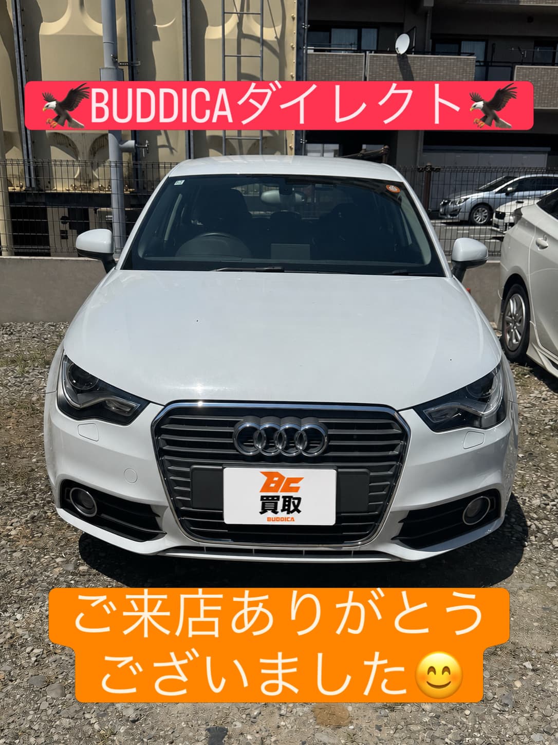 BUDDICA 買取FC 福井中央店の様子 10